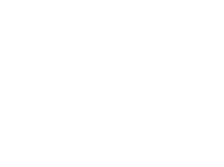 Automatic Fitness